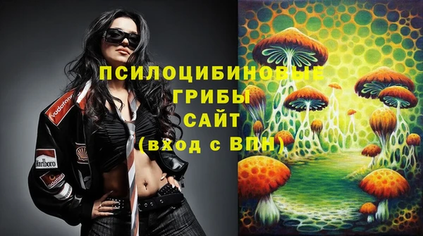 спиды Алзамай