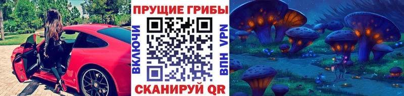 Псилоцибиновые грибы мицелий  что такое наркотик  hydra онион  Вихоревка 